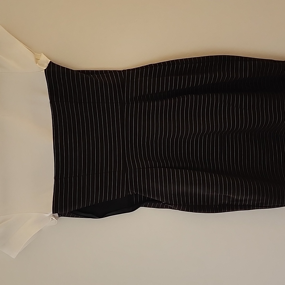 EXPRESS Bodycon Dress - Picture 4 of 4
